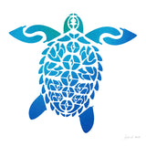 Fin Turtle